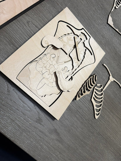 Anatomy Human Body Puzzle
